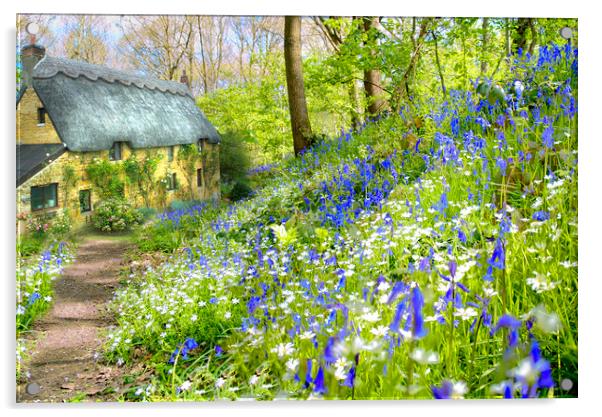 Cottage Bluebell Wood Acrylic by Alison Chambers