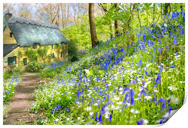 Cottage Bluebell Wood Print by Alison Chambers