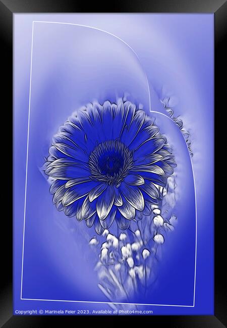 Blue flower Framed Print by Marinela Feier
