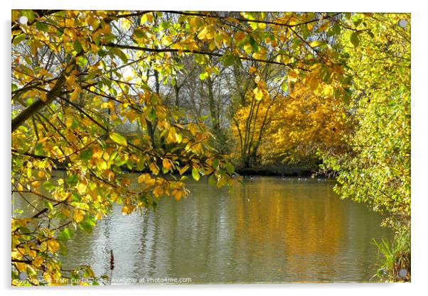 Autumn Leaves surrounding a Lake Acrylic by Tom Curtis
