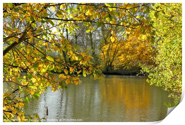 Autumn Leaves surrounding a Lake Print by Tom Curtis