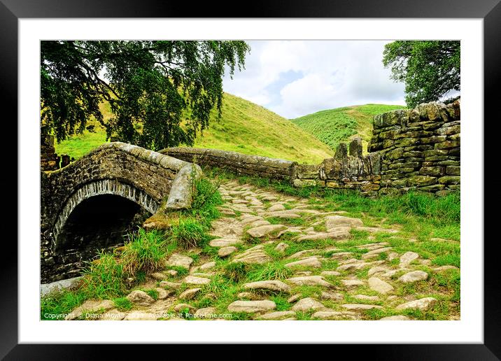 Eastergate Packhorse Bridge Yorkshire Framed Mounted Print by Diana Mower