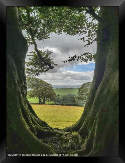 Enchanted Forest Devon Framed Print by Richard Brookes