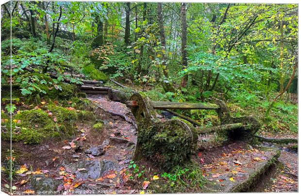 Moss Covered bench Canvas Print by Graham Lathbury