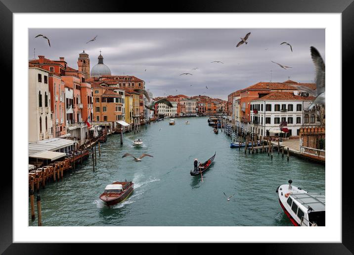 Panoramic view of famous Grand Canal in the winter Framed Mounted Print by Olga Peddi