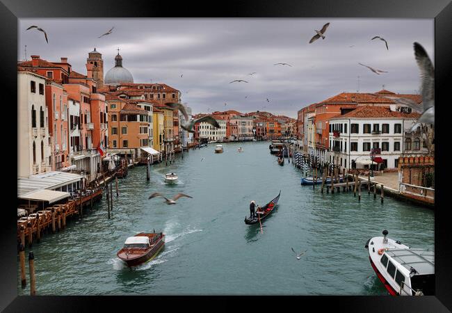 Panoramic view of famous Grand Canal in the winter Framed Print by Olga Peddi