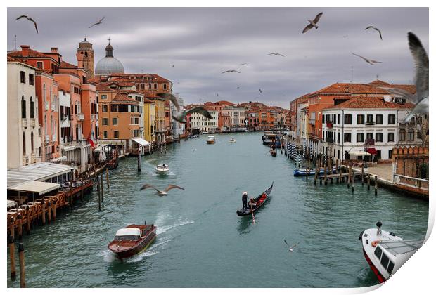 Panoramic view of famous Grand Canal in the winter Print by Olga Peddi
