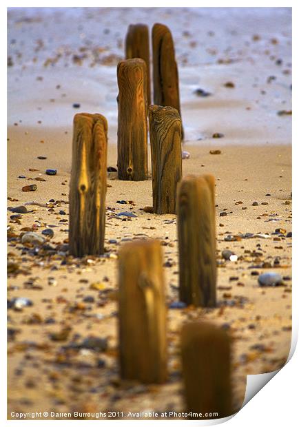 Posts Exposed On Beach Print by Darren Burroughs