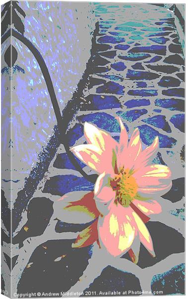 Abstract Flower Canvas Print by Andrew Middleton
