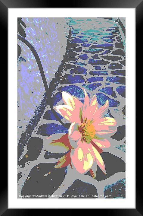Abstract Flower Framed Mounted Print by Andrew Middleton