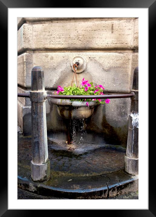 Watering flowers  Framed Mounted Print by Fabrizio Troiani