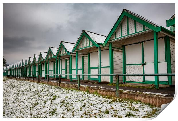 Langland Bay Beach Huts in the snow Print by Dan Santillo