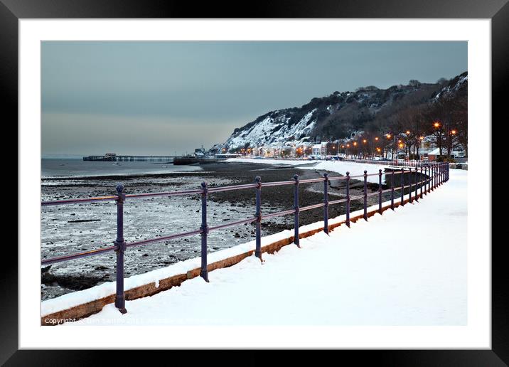Mumbles in the snow Framed Mounted Print by Dan Santillo