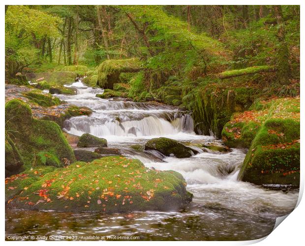 Golitha Falls Autumn  Print by Andy Durnin