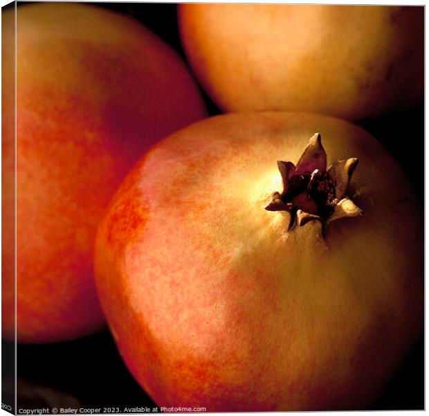 Pomegranates Canvas Print by Bailey Cooper