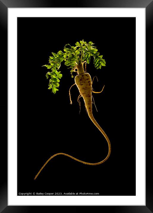 Parsnip  Framed Mounted Print by Bailey Cooper