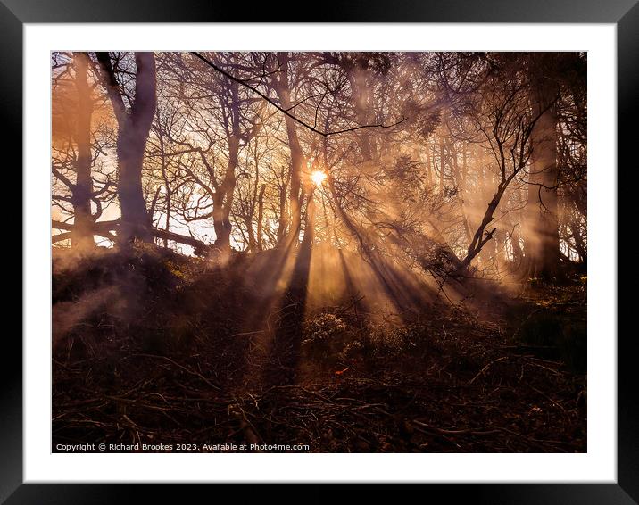 Forest Sunset with Hazy Golden Rays Framed Mounted Print by Richard Brookes