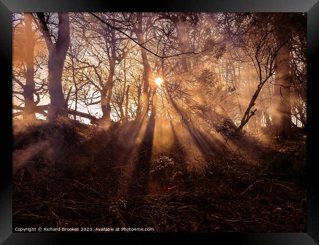 Forest Sunset with Hazy Golden Rays Framed Print by Richard Brookes