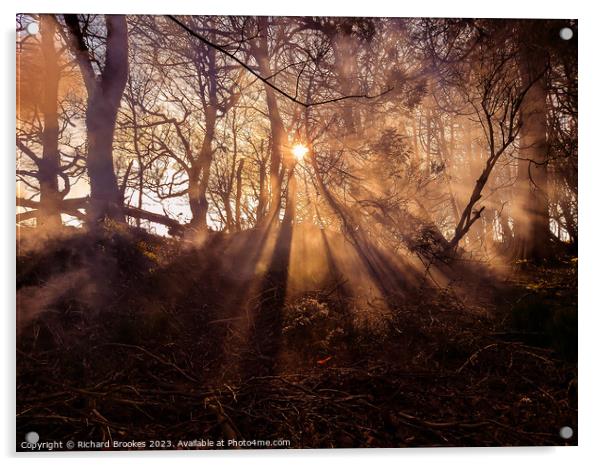 Forest Sunset with Hazy Golden Rays Acrylic by Richard Brookes