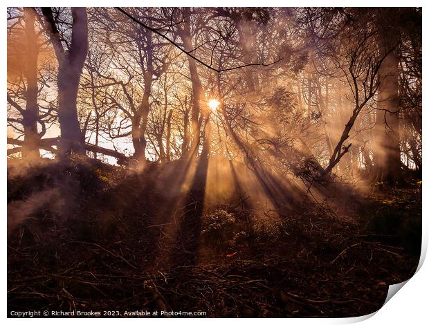 Forest Sunset with Hazy Golden Rays Print by Richard Brookes