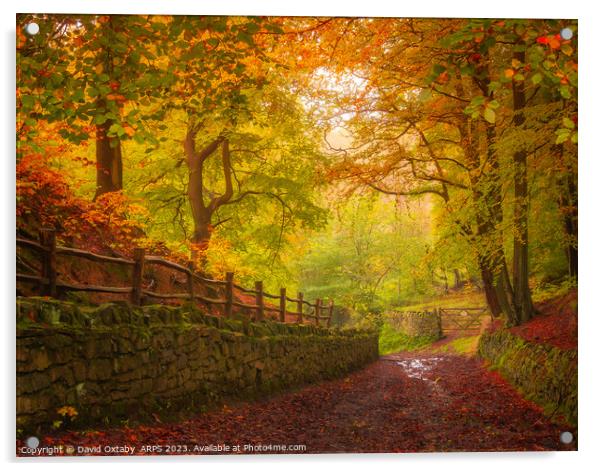Autumnal track through Judy Woods Acrylic by David Oxtaby  ARPS