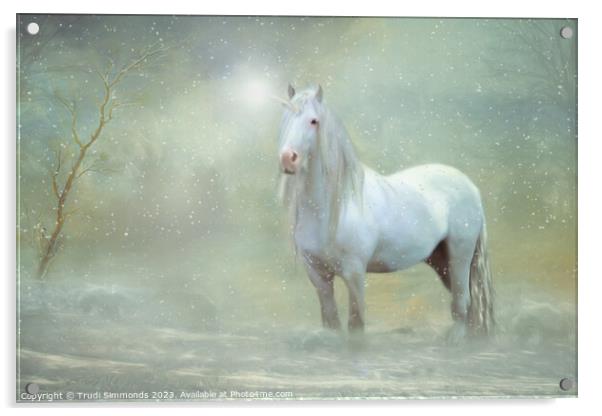 Unicorn Drifter Acrylic by Trudi Simmonds