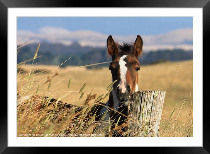  Apache Framed Mounted Print by Trudi Simmonds