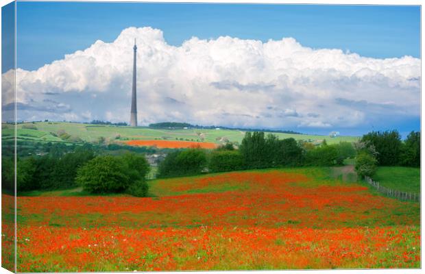 Emley Moor Mast Canvas Print by Alison Chambers