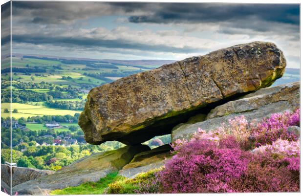 Ilkley Moor Boulder Stone Canvas Print by Alison Chambers