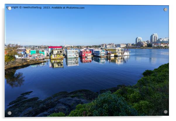 Colored Houses on Vancouver Island's Shore Acrylic by rawshutterbug 