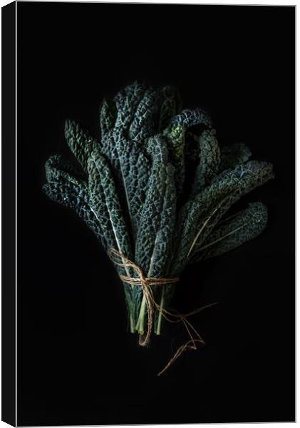 Bouquet of green Kale leaves on a dark background. Canvas Print by Olga Peddi