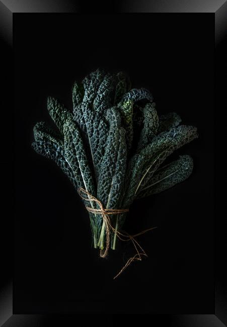 Bouquet of green Kale leaves on a dark background. Framed Print by Olga Peddi