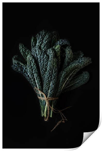 Bouquet of green Kale leaves on a dark background. Print by Olga Peddi