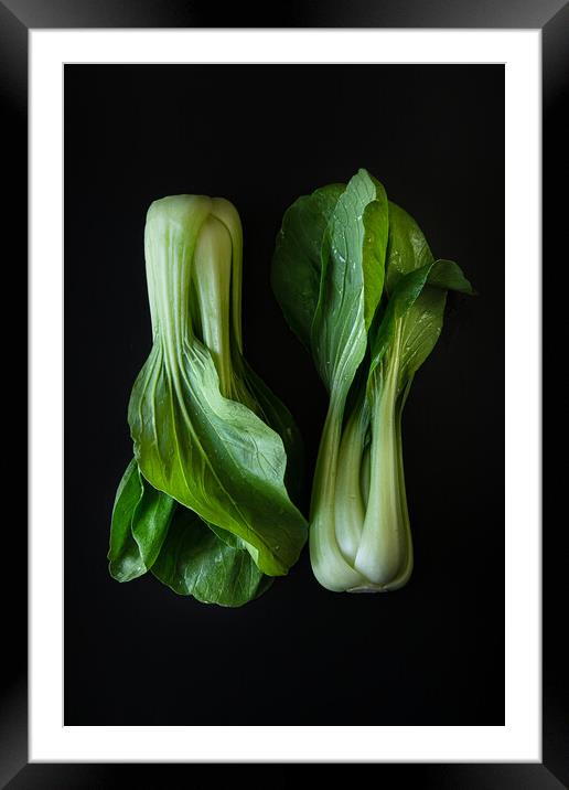 Bok choy cabbage isolated on a black background.  Framed Mounted Print by Olga Peddi