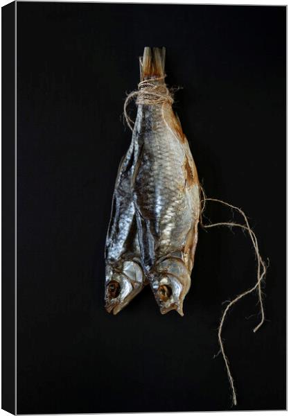 Traditional dried fish on a black background.  Canvas Print by Olga Peddi