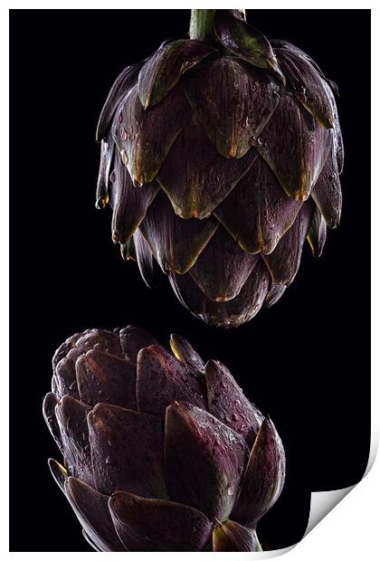 Fresh raw artichokes on black background. Ripe org Print by Olga Peddi