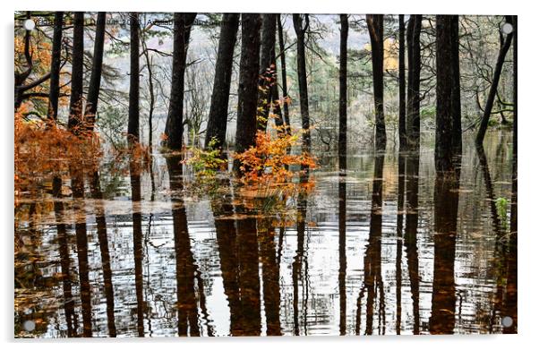 Rising Waters Acrylic by John Dunbar