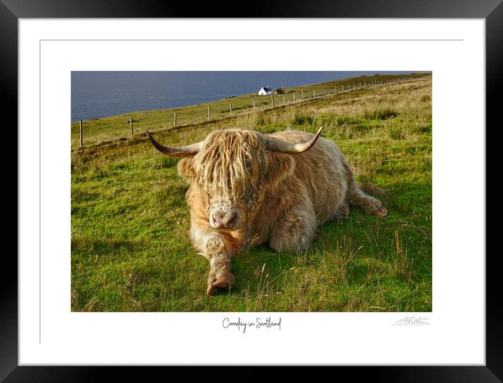 Coosday in Scotland  Framed Mounted Print by JC studios LRPS ARPS