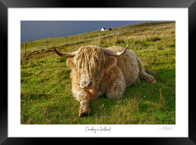Coosday in Scotland  Framed Print by JC studios LRPS ARPS