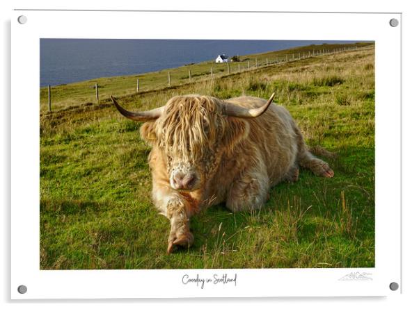 Coosday in Scotland  Acrylic by JC studios LRPS ARPS