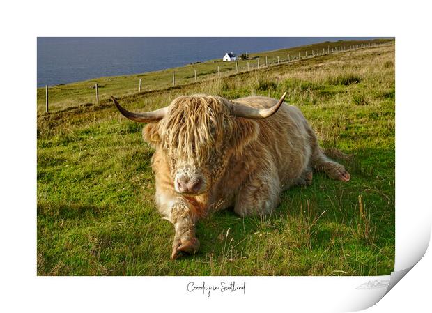 Coosday in Scotland  Print by JC studios LRPS ARPS