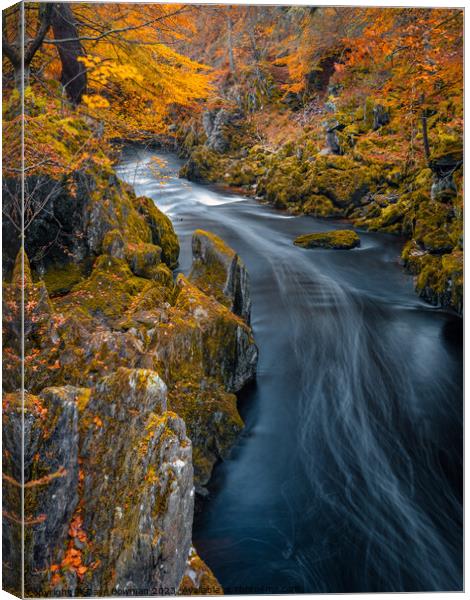 River Esk at Autumn Canvas Print by Dave Bowman