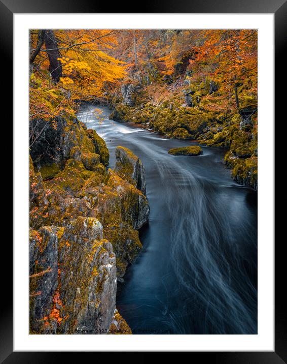 River Esk at Autumn Framed Mounted Print by Dave Bowman