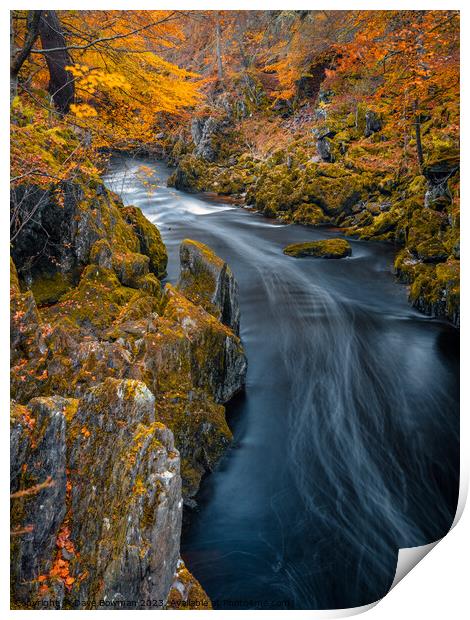 River Esk at Autumn Print by Dave Bowman