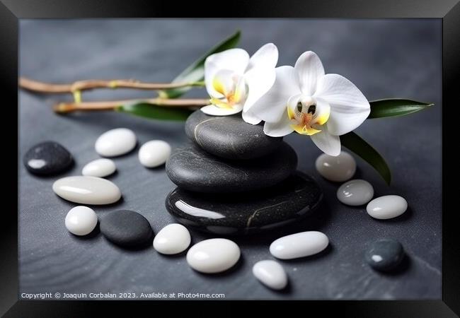 Black and white stones and flowers on a smooth, po Framed Print by Joaquin Corbalan