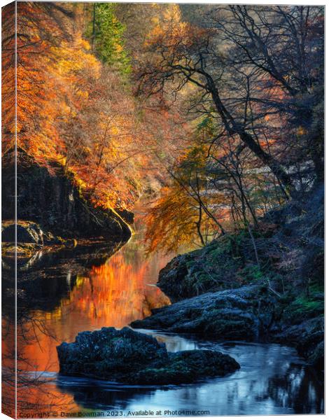 Autumn on River Garry Canvas Print by Dave Bowman