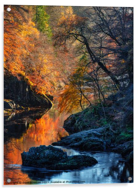 Autumn on River Garry Acrylic by Dave Bowman