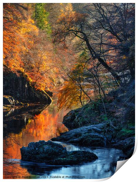 Autumn on River Garry Print by Dave Bowman