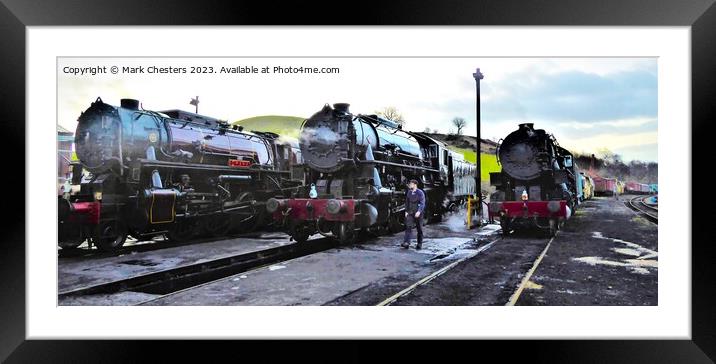 Getting ready for a busy day Framed Mounted Print by Mark Chesters