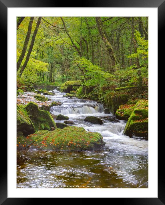 Golitha Falls Autumn 2 Framed Mounted Print by Andy Durnin